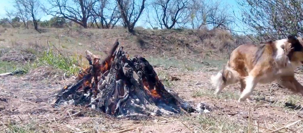 outdoor open pottery firing