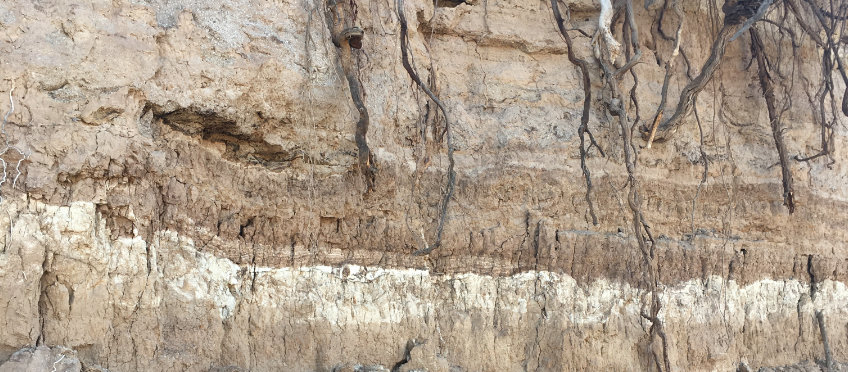 Alluvial clay deposits