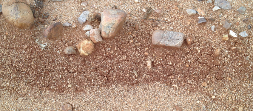 clay has a crackled texture when dry