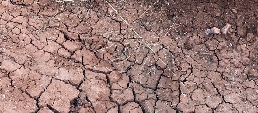cracks in natural clay