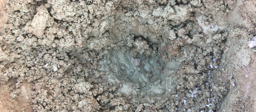 wet clay has a soft, plastic texture