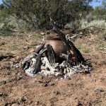 a large jar being fired in an outdoor bon-fire